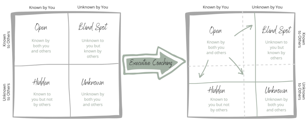 Johari-window-graphic